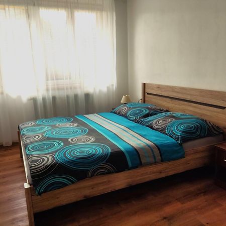 Apartmany U Jirousu 捷克布杰约维采 外观 照片