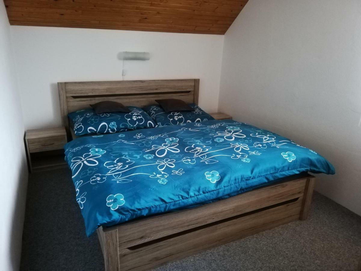 Apartmany U Jirousu 捷克布杰约维采 外观 照片